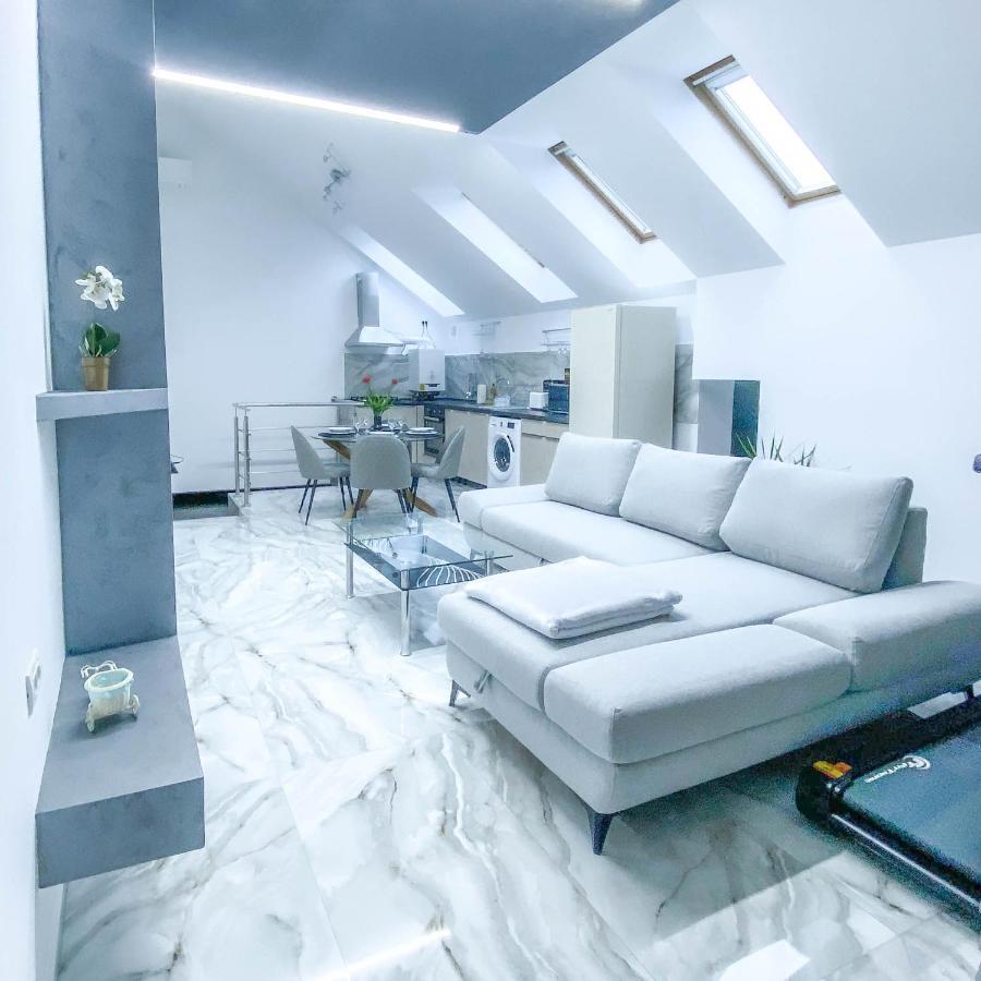 The Residence Of Silver Sky House Тимишоара Екстериор снимка