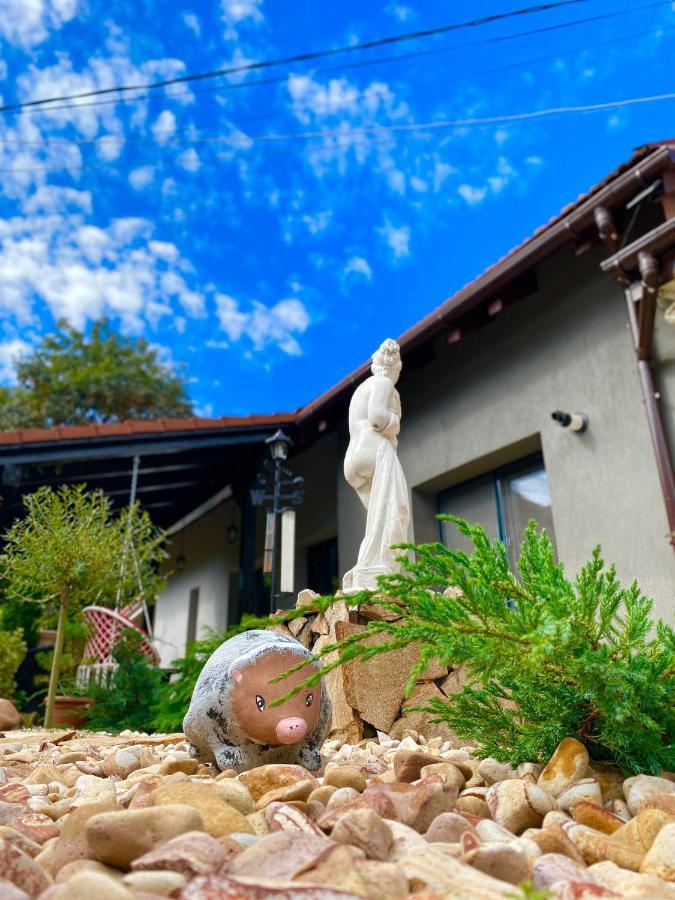 The Residence Of Silver Sky House Тимишоара Екстериор снимка