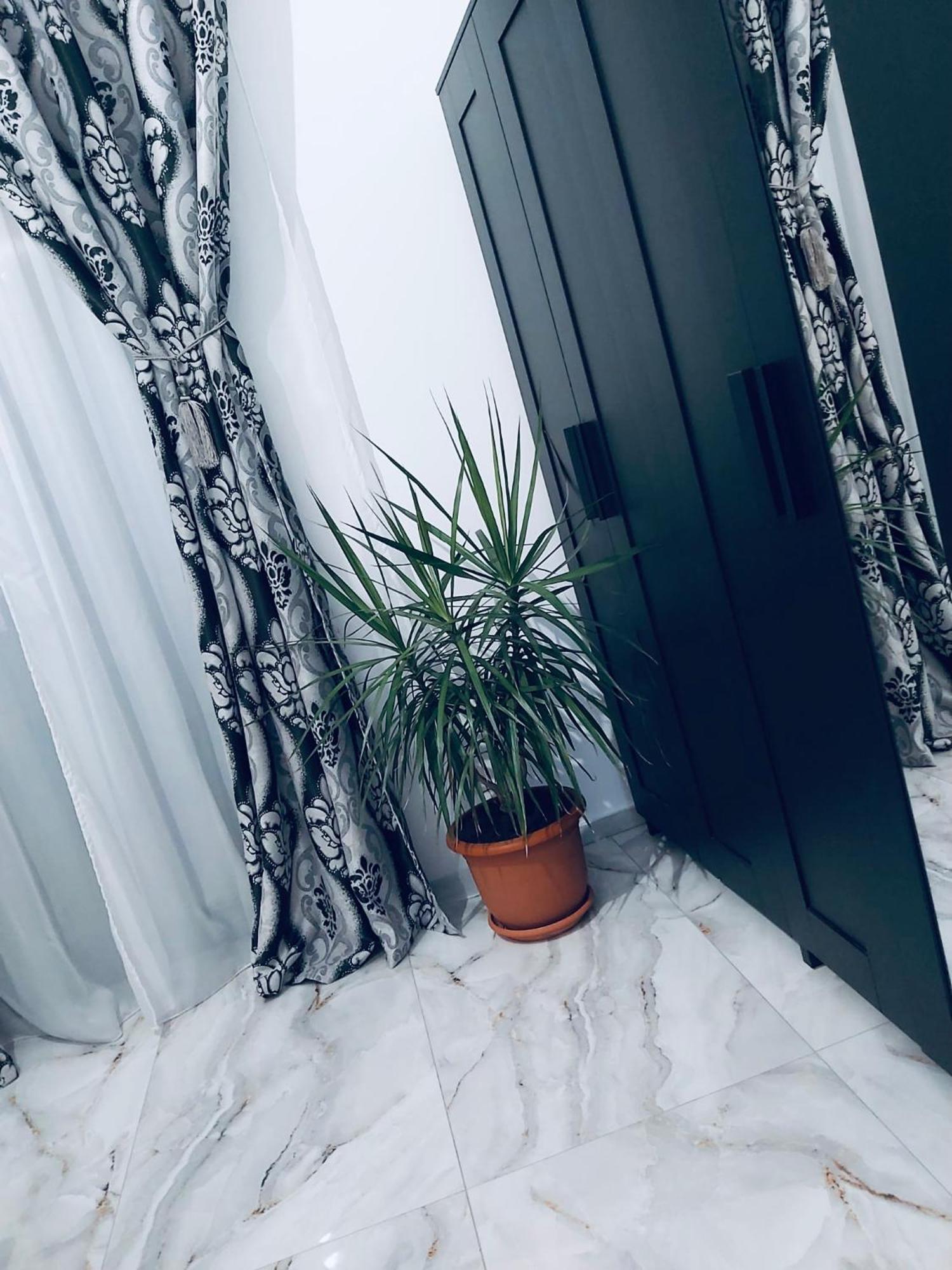 The Residence Of Silver Sky House Тимишоара Екстериор снимка